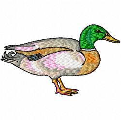 Ducks And Goose Embroidery Design 4 Ducks And Goose Embroidery Design 4